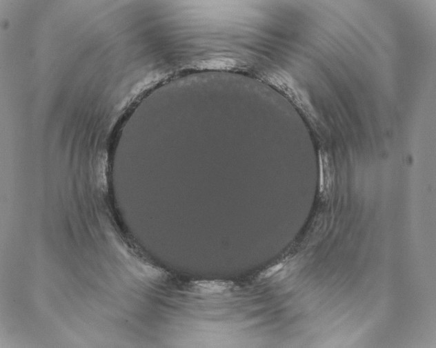 X0000088590300200706081334