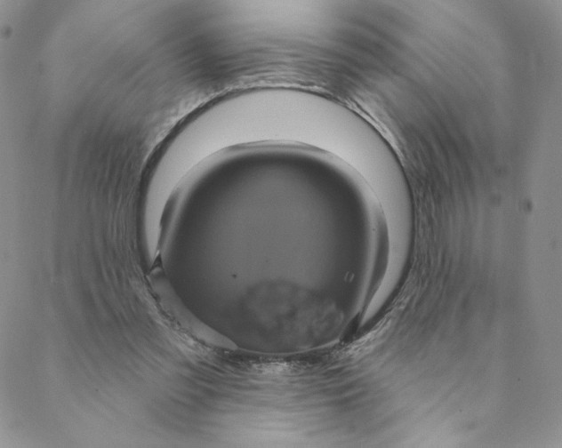 X0000088590301200706081334