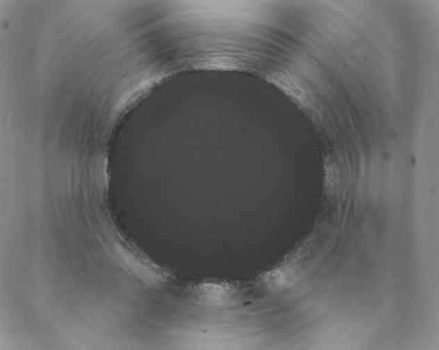 X0000088590302200706081334