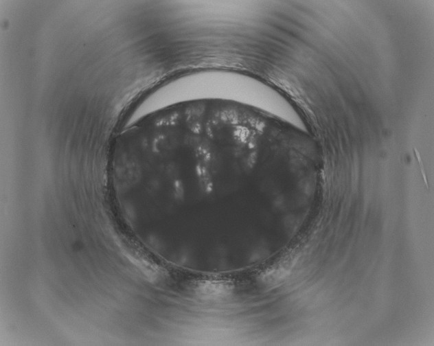 X0000088590303200706081334