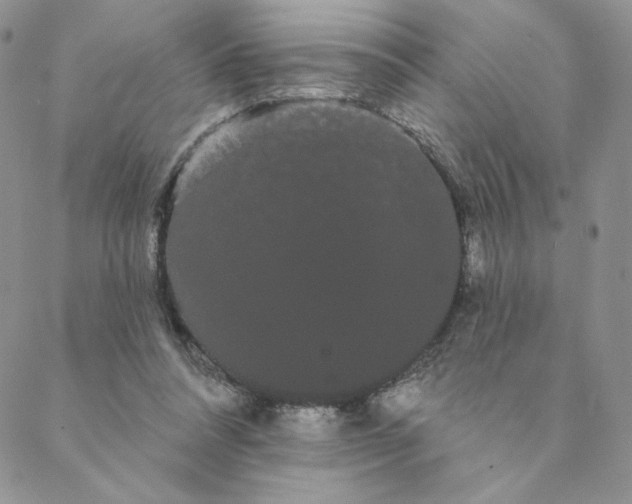 X0000088590304200706081334