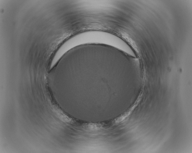 X0000088590305200706081334