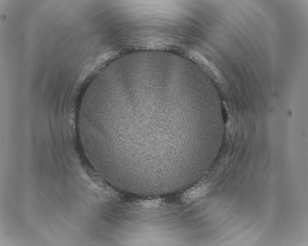 X0000088590306200706081334