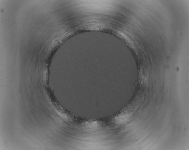 X0000088590307200706081334