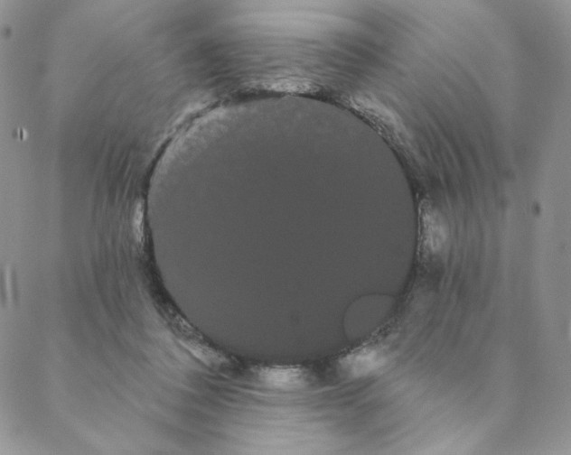 X0000088590308200706081334