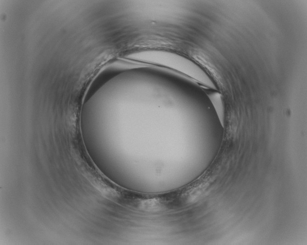 X0000088590309200706081334