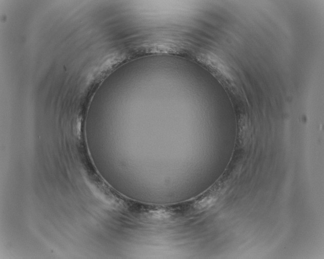 X0000088590310200706081334