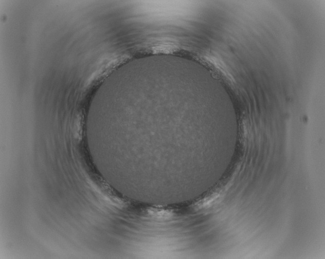 X0000088590311200706081334