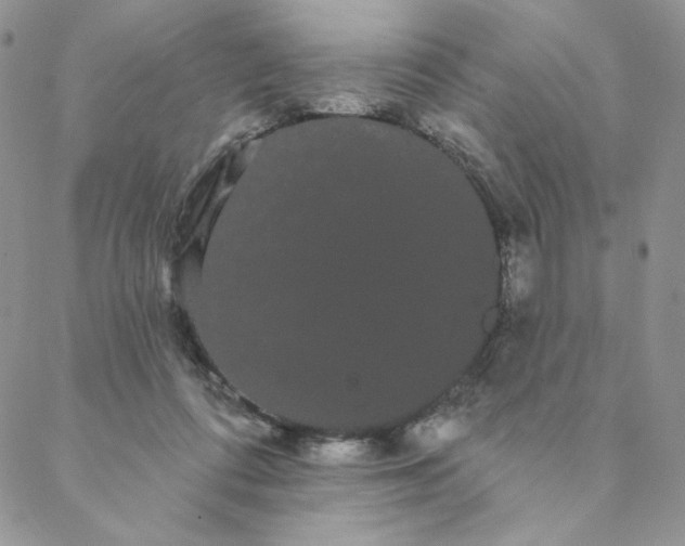 X0000088590312200706081334