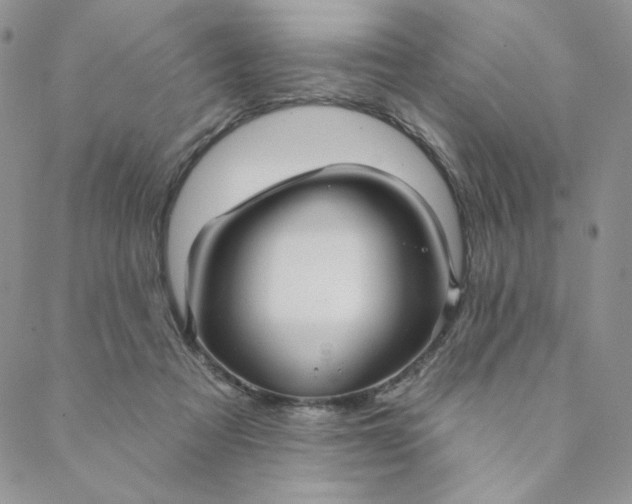 X0000088590313200706081334