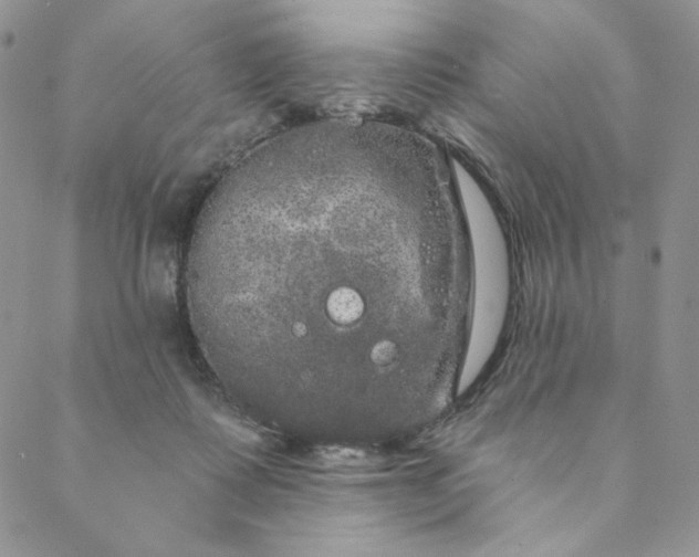 X0000088590315200706081334