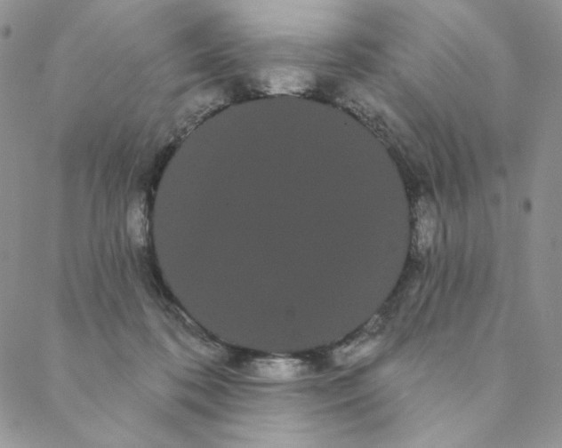 X0000088590316200706081334