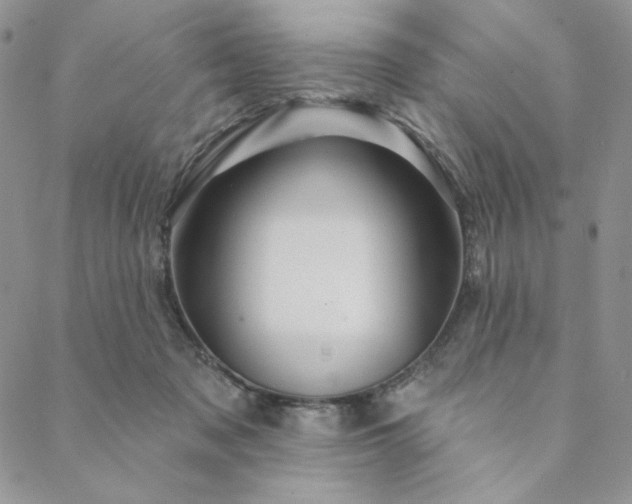 X0000088590317200706081334