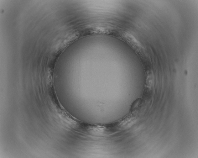 X0000088590318200706081334