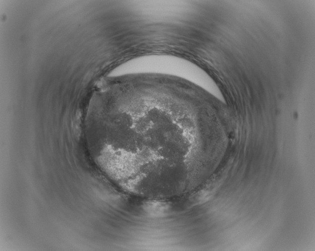 X0000088590319200706081334