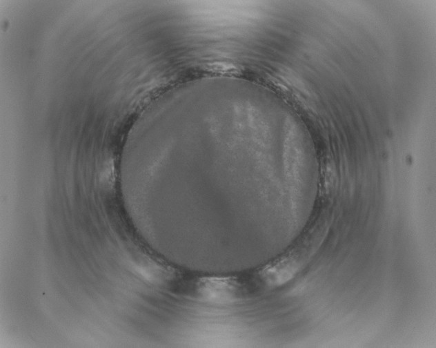 X0000088590320200706081334