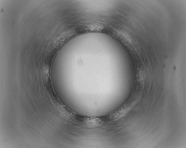 X0000088590321200706081334