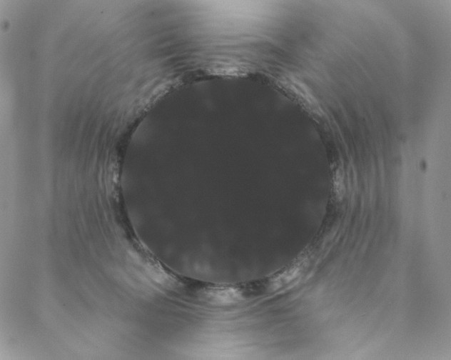 X0000088590322200706081334