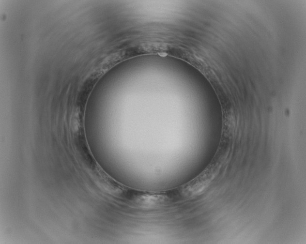 X0000088590323200706081334