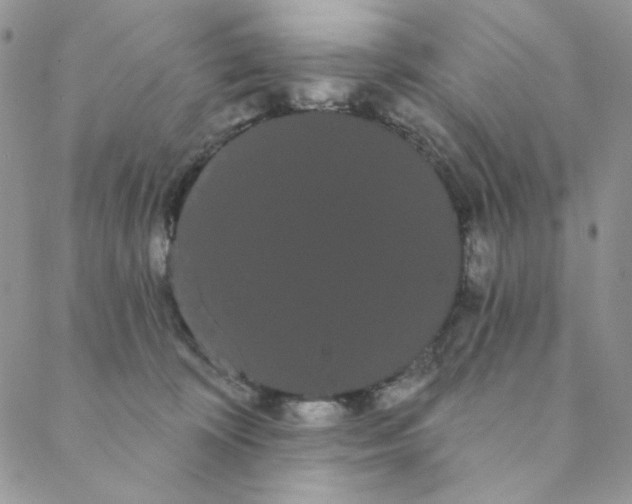 X0000088590324200706081334