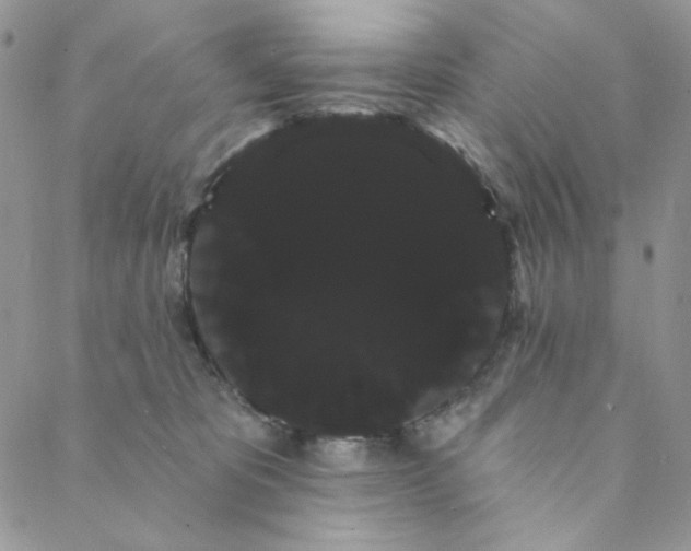 X0000088590325200706081334