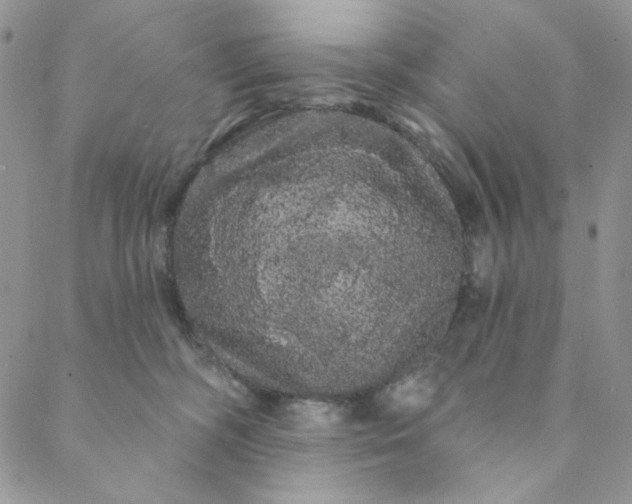 X0000088590326200706081334