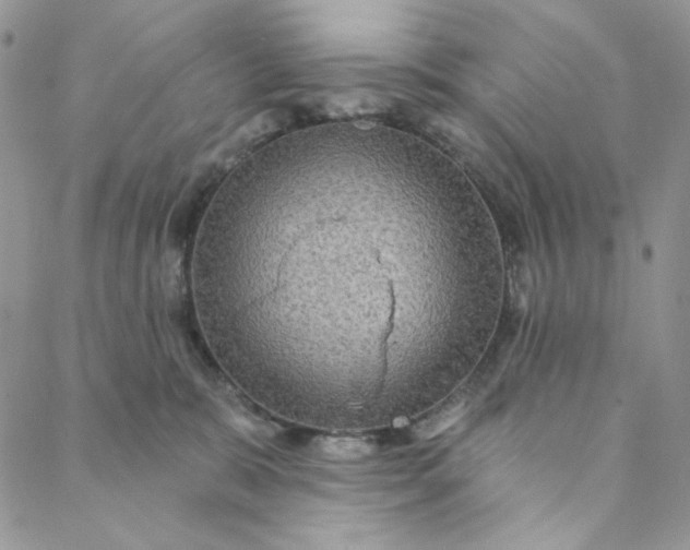 X0000088590327200706081334