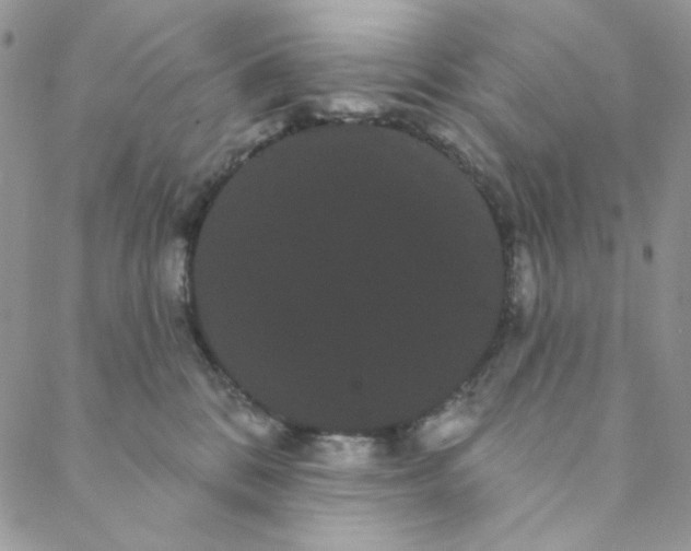 X0000088590328200706081334