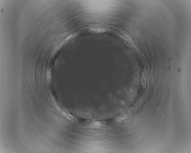 X0000088590330200706081334