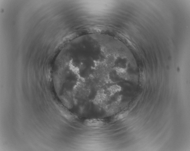 X0000088590331200706081334