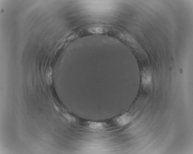 X0000088590332200706081334