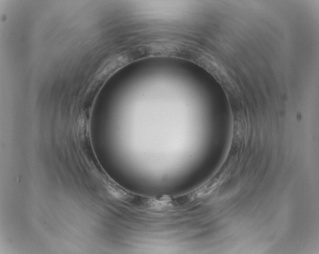 X0000088590333200706081334