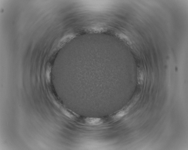 X0000088590334200706081334