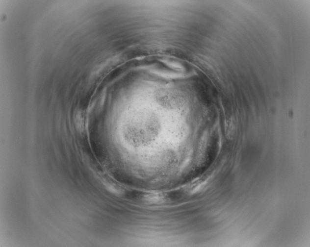 X0000088590335200706081334