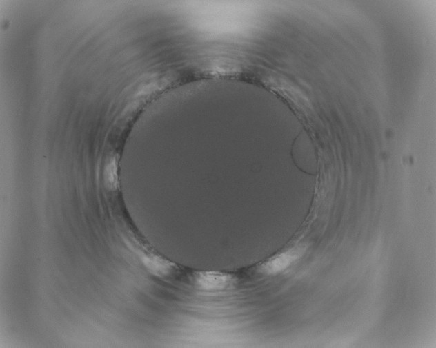 X0000088590336200706081334