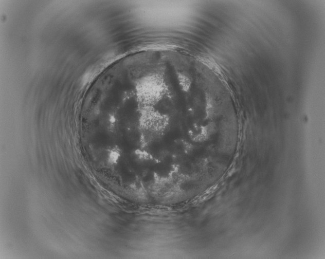 X0000088590337200706081333