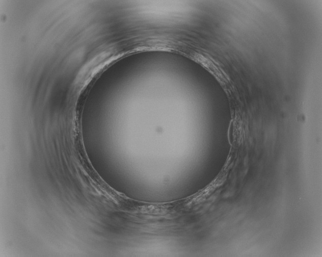 X0000088590338200706081333