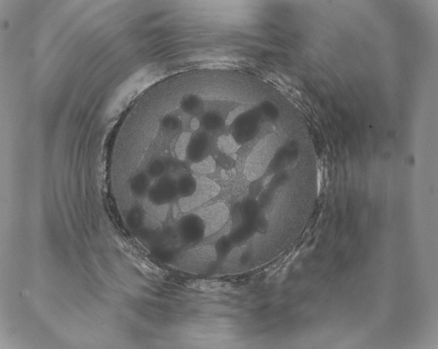 X0000088590339200706081333