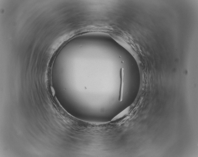 X0000088590340200706081333