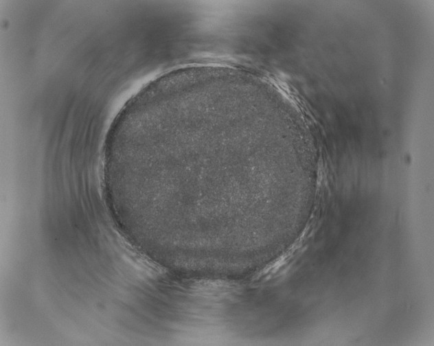 X0000088590342200706081333