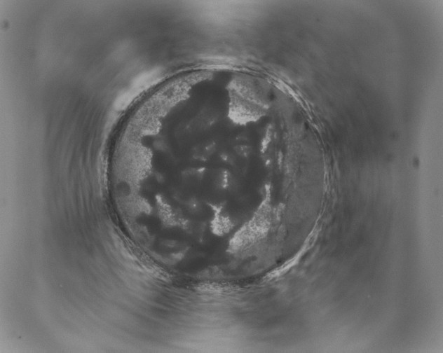 X0000088590343200706081333