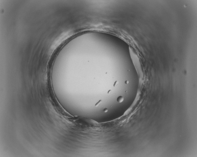 X0000088590344200706081333