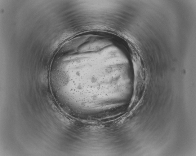 X0000088590345200706081333