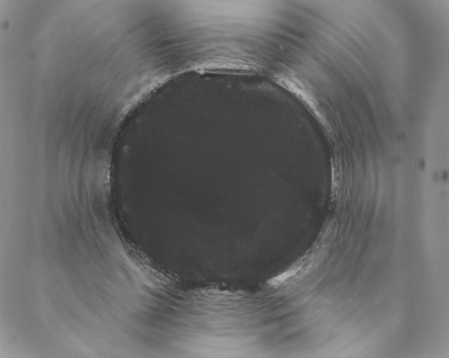 X0000088590348200706081333