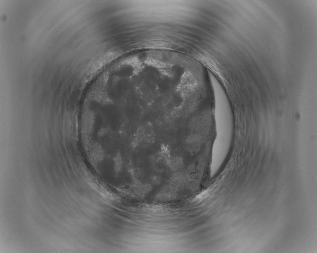 X0000088590349200706081333