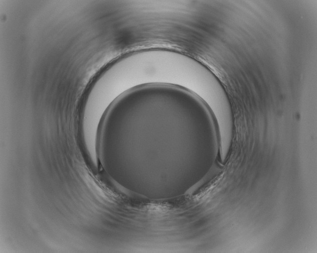 X0000088590350200706081333