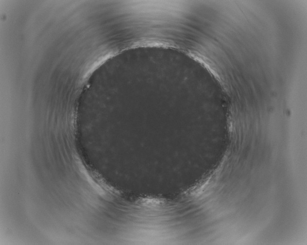 X0000088590352200706081333