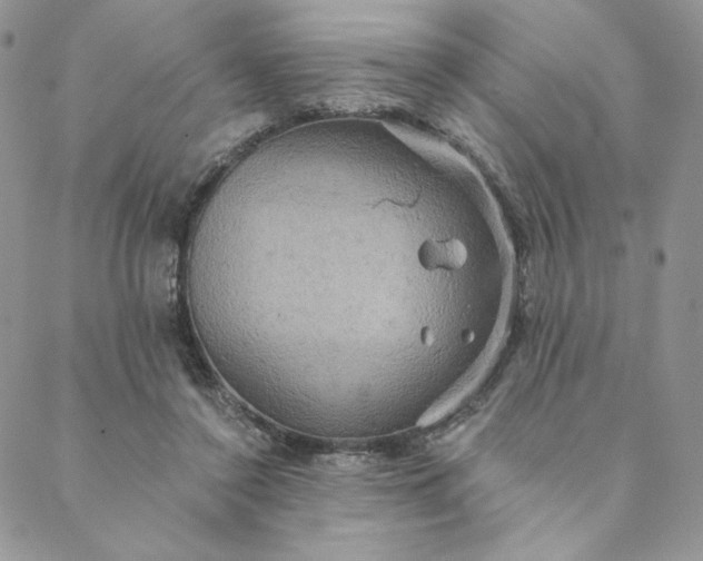 X0000088590356200706081333