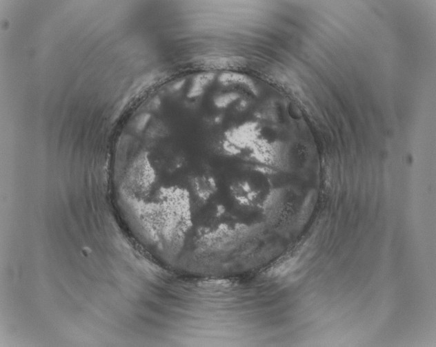 X0000088590357200706081333