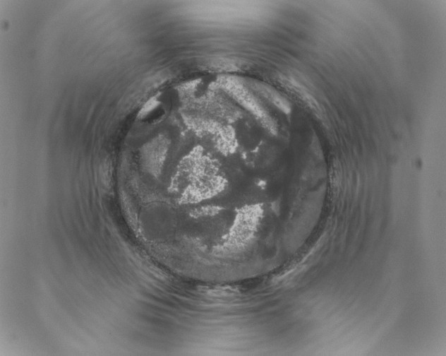 X0000088590359200706081333